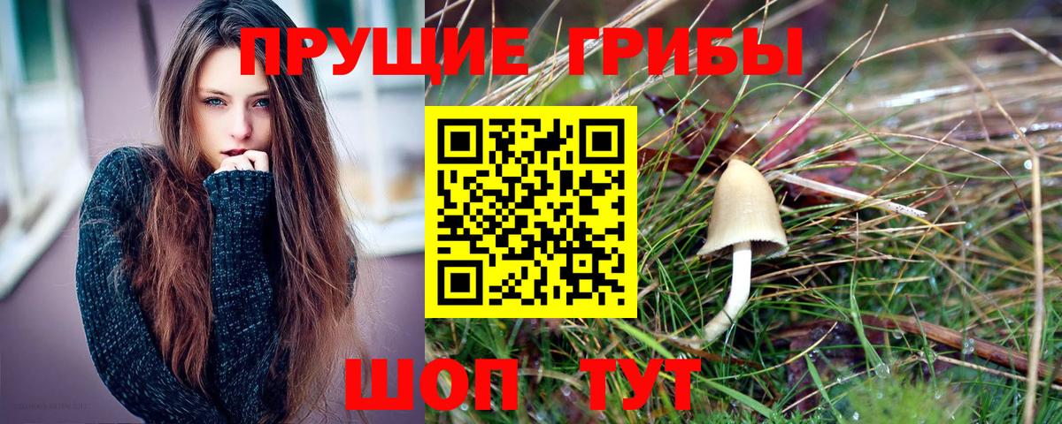 Псилоцибиновые грибы ЛСД  Вход с VPN  Железноводск 